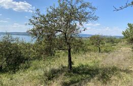 Teren extravilan in apropierea lacului Varsolt in suparfata de 3800 mp