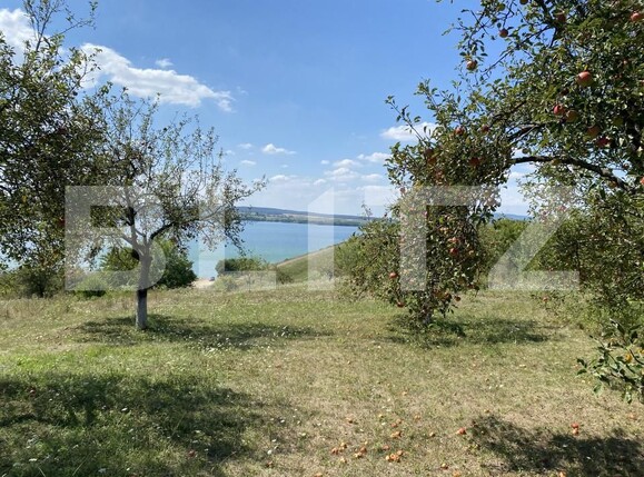 Teren de vânzare Recea - 156554TV | BLITZ Zalău | Poza7