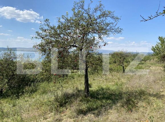 Teren de vânzare Recea - 156554TV | BLITZ Zalău | Poza4