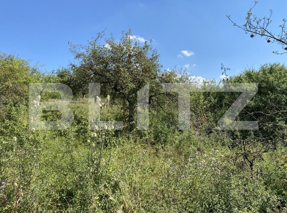 Teren de vânzare Recea - 156554TV | BLITZ Zalău | Poza2