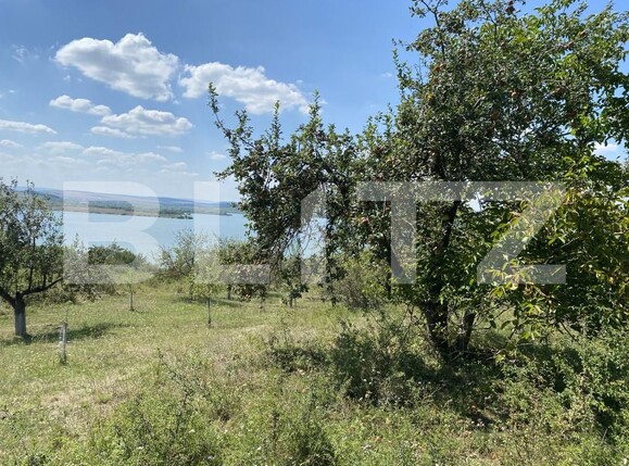 Teren de vânzare Recea - 156554TV | BLITZ Zalău | Poza6