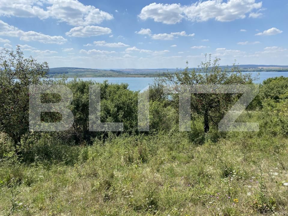 Teren de vânzare Recea - 156554TV | BLITZ Zalău | Poza3