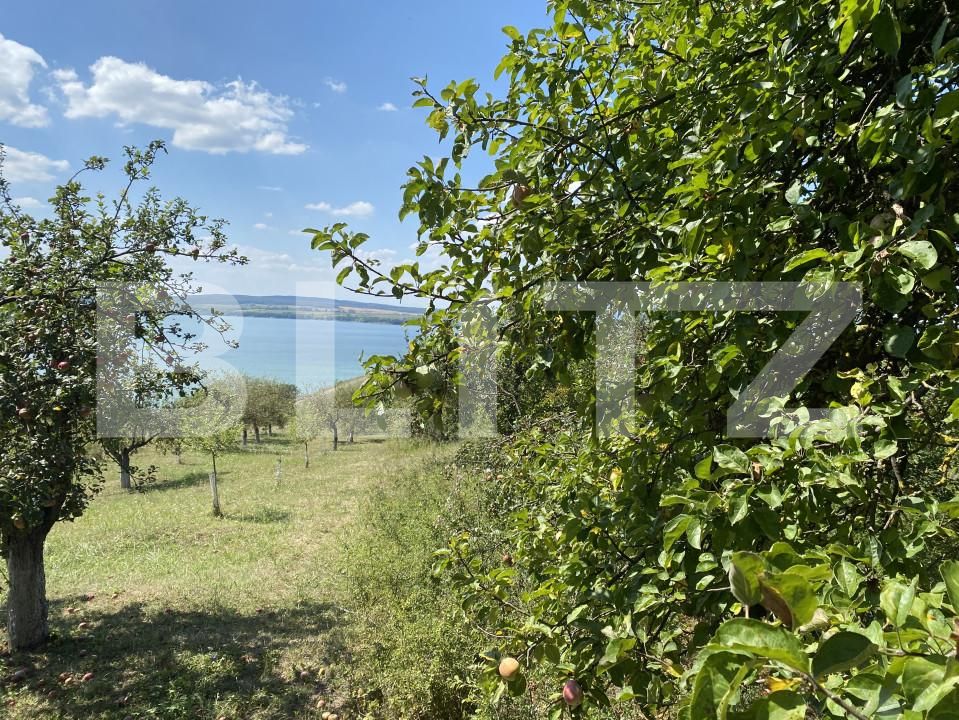 Teren de vânzare Recea - 156554TV | BLITZ Zalău | Poza5