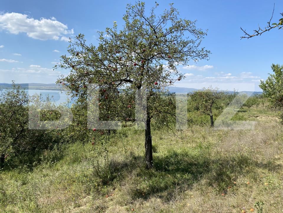 Teren de vânzare Recea - 156554TV | BLITZ Zalău | Poza4