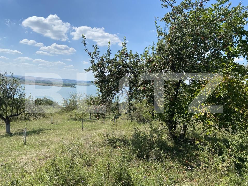 Teren de vânzare Recea - 156554TV | BLITZ Zalău | Poza6