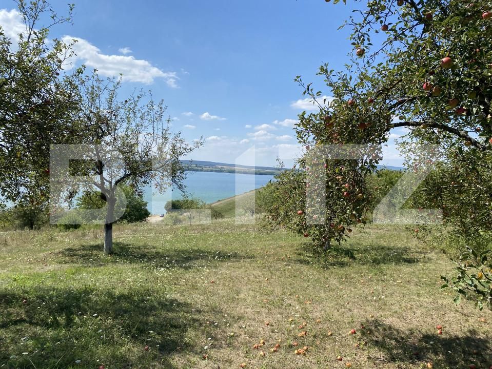 Teren de vânzare Recea - 156554TV | BLITZ Zalău | Poza7