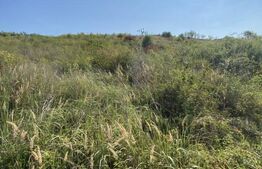 Teren intravilan/extravilan centura Zalau, 8200 mp