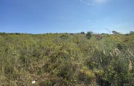 Teren intravilan/extravilan centura Zalau, 8200 mp