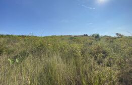 Teren intravilan/extravilan centura Zalau, 8200 mp