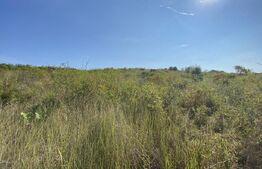 Teren intravilan/extravilan centura Zalau, 8200 mp