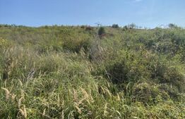 Teren intravilan/extravilan centura Zalau, 8200 mp