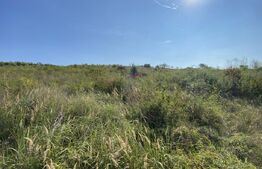 Teren de vânzare Central - 160625TV | BLITZ Zalău | Poza2