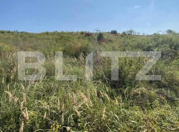 Teren de vânzare Aghires - 156755TV | BLITZ Zalău | Poza3