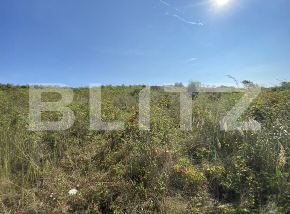 Teren de vânzare Aghires - 156755TV | BLITZ Zalău | Poza4