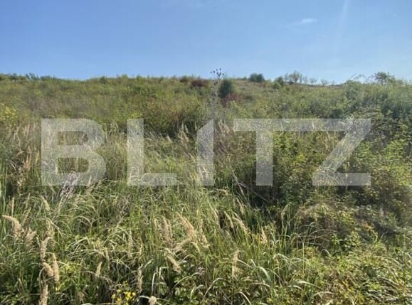 Teren de vânzare Aghires - 156755TV | BLITZ Zalău | Poza2