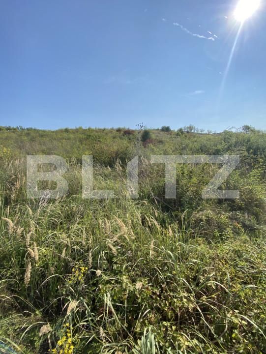 Teren de vânzare Aghires - 156755TV | BLITZ Zalău | Poza2