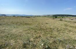 Teren extravilan Criseni, 3800 mp