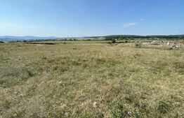 Teren extravilan Criseni, 3800 mp