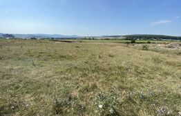 Teren extravilan Criseni, 3800 mp