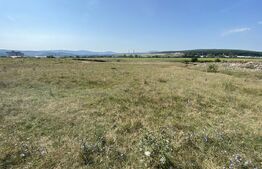 Teren extravilan Criseni, 3800 mp