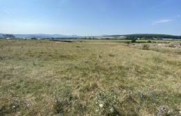 Teren extravilan Criseni, 3800 mp