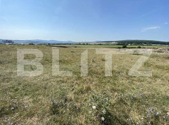 Teren de vânzare Criseni - 157478TV | BLITZ Zalău | Poza3