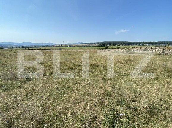 Teren de vânzare Criseni - 157478TV | BLITZ Zalău | Poza5