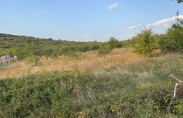 Teren extravilan in zona 22 Decembrie 1989