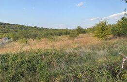 Teren extravilan in zona 22 Decembrie 1989