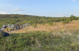 Teren extravilan in zona 22 Decembrie 1989