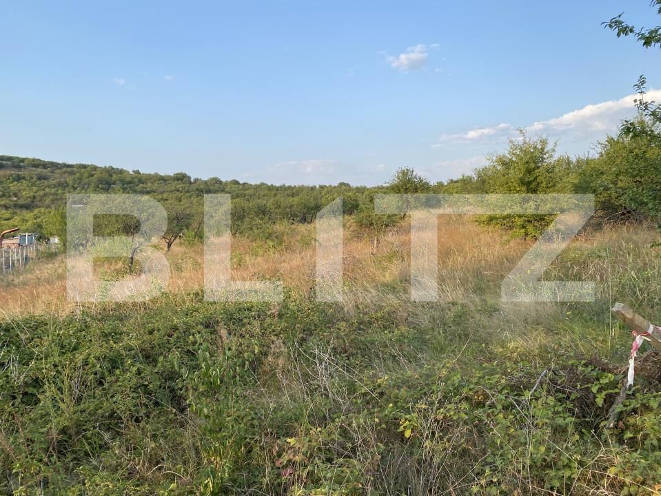 Teren de vânzare Sud-Vest - 157856TV | BLITZ Zalău | Poza2