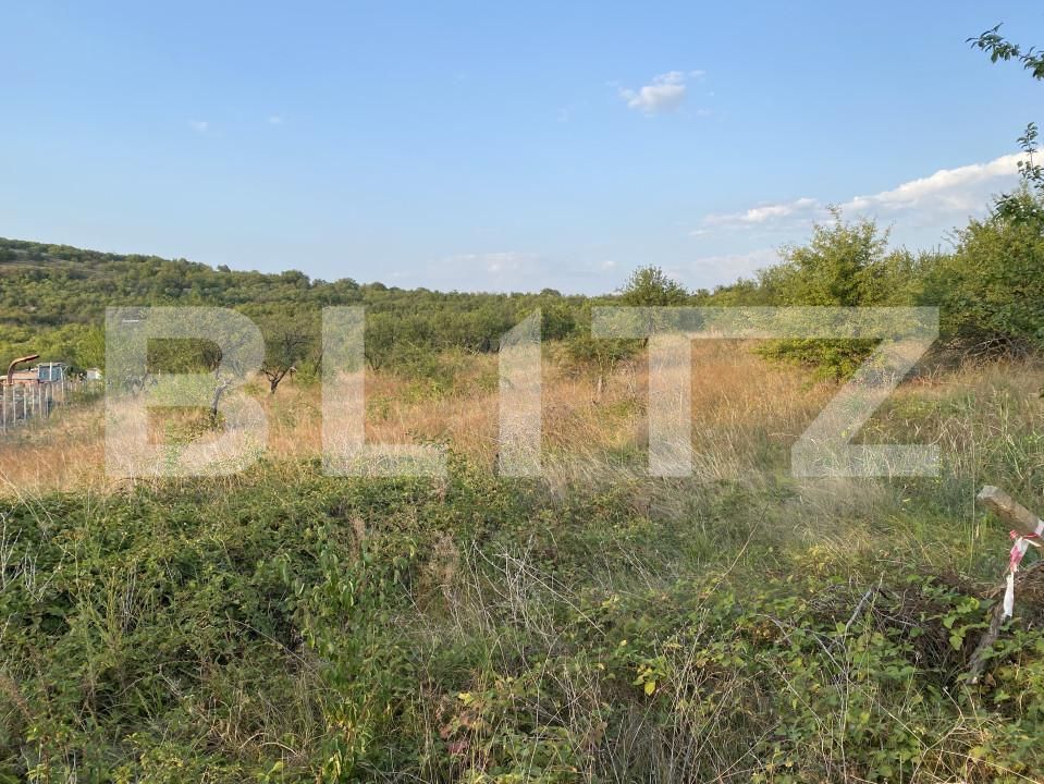 Teren de vânzare Sud-Vest - 157856TV | BLITZ Zalău | Poza3