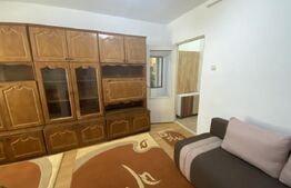 Garsoniera de vanzare suprafata utila 23 mp, zona Dumbrava Nord