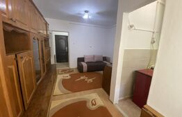 Garsoniera de vanzare suprafata utila 23 mp, zona Dumbrava Nord