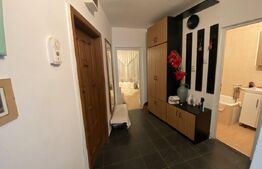 Apartament 2 camere în suprafață de 47 mp, decomandat, zona Dumbrava 2