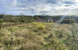 Teren intravilan in zona Sarmas in suprafata de 700 mp