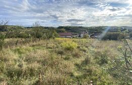 Teren intravilan in zona Sarmas in suprafata de 700 mp