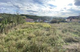 Teren intravilan in zona Sarmas in suprafata de 700 mp