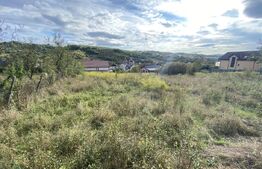 Teren intravilan in zona Sarmas in suprafata de 700 mp