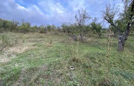 Teren intravilan in zona Sarmas in suprafata de 750 mp