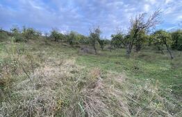 Teren intravilan in zona Sarmas in suprafata de 750 mp