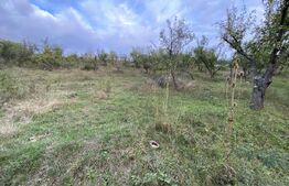 Teren intravilan in zona Sarmas in suprafata de 750 mp