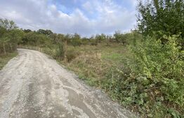 Teren intravilan in zona Sarmas in suprafata de 750 mp