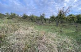 Teren intravilan in zona Sarmas in suprafata de 750 mp