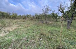 Teren intravilan in zona Sarmas in suprafata de 750 mp