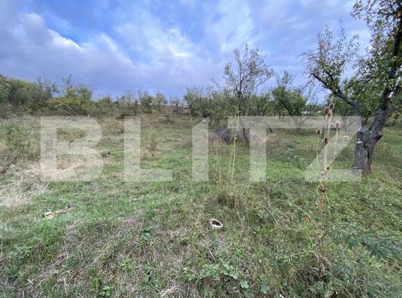 Teren de vânzare Exterior-Est - 158784TV | BLITZ Zalău | Poza5