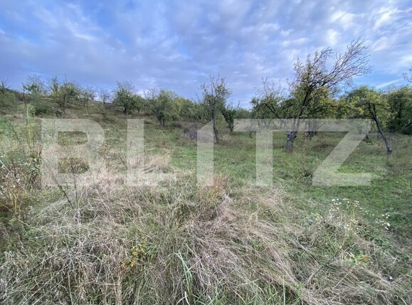 Teren de vânzare Exterior-Est - 158784TV | BLITZ Zalău | Poza3