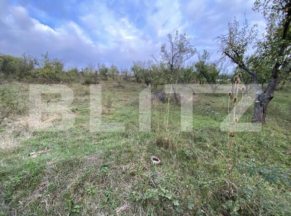 Teren de vânzare Exterior-Est - 158784TV | BLITZ Zalău | Poza4