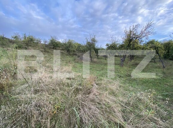 Teren de vânzare Exterior-Est - 158784TV | BLITZ Zalău | Poza1