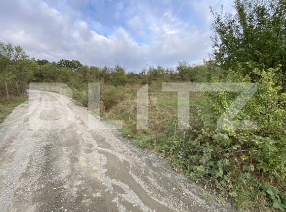 Teren de vânzare Exterior-Est - 158784TV | BLITZ Zalău | Poza7